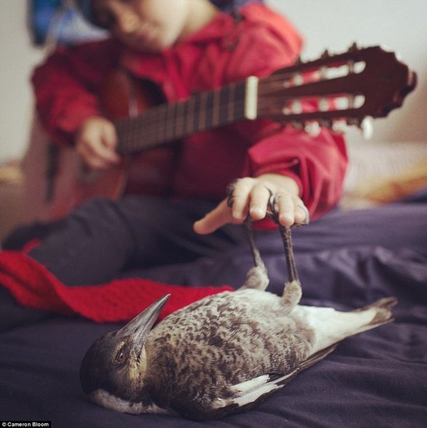 268510E500000578-2988830-Penguin_the_magpie_makes_himself_comfortable_as_Noah_plays_some_-a-4_1426032517595.jpg