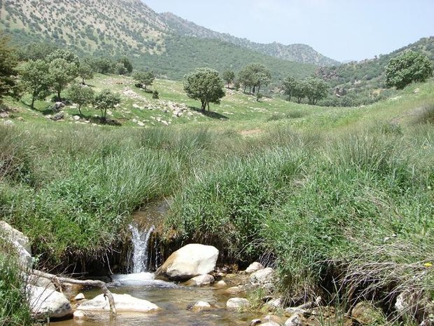 سفید کوه - خرم آباد