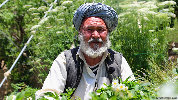 دیدار با دلدادگان بامیانی؛ شادند اما آزاد نیستند